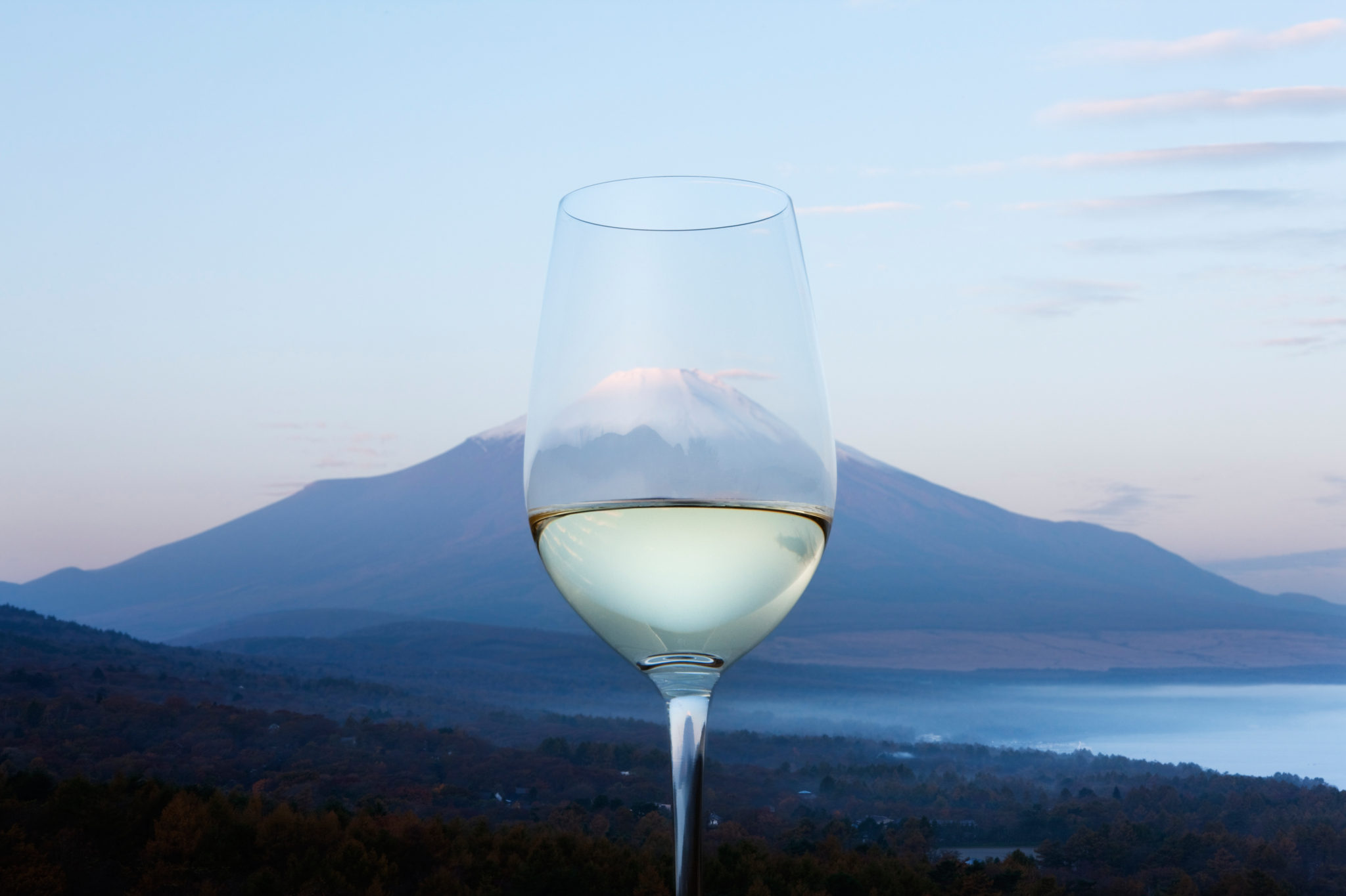 The 7 things you (probably) didn't know about Japanese wine